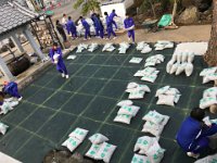 IMG 5332  まず、４袋ずつ配置。 女子はカッターで袋切り